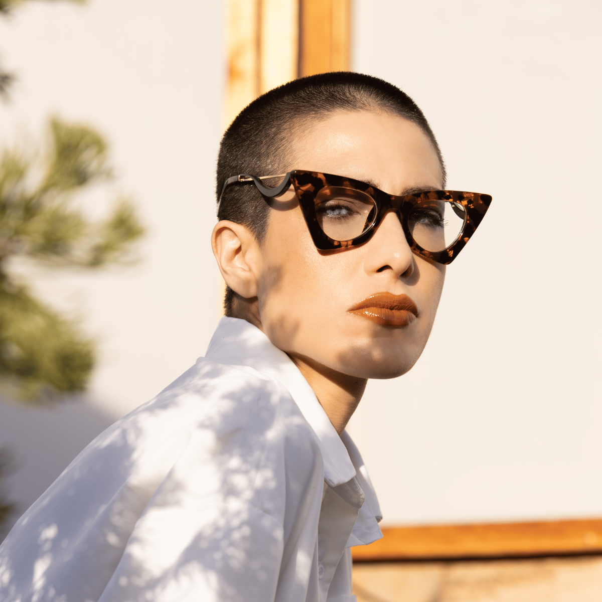 Favoritos da Comunidade